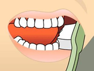 Animated illustration of open mouth showing teeth and gums with toothbrush bristles cleaning inside.